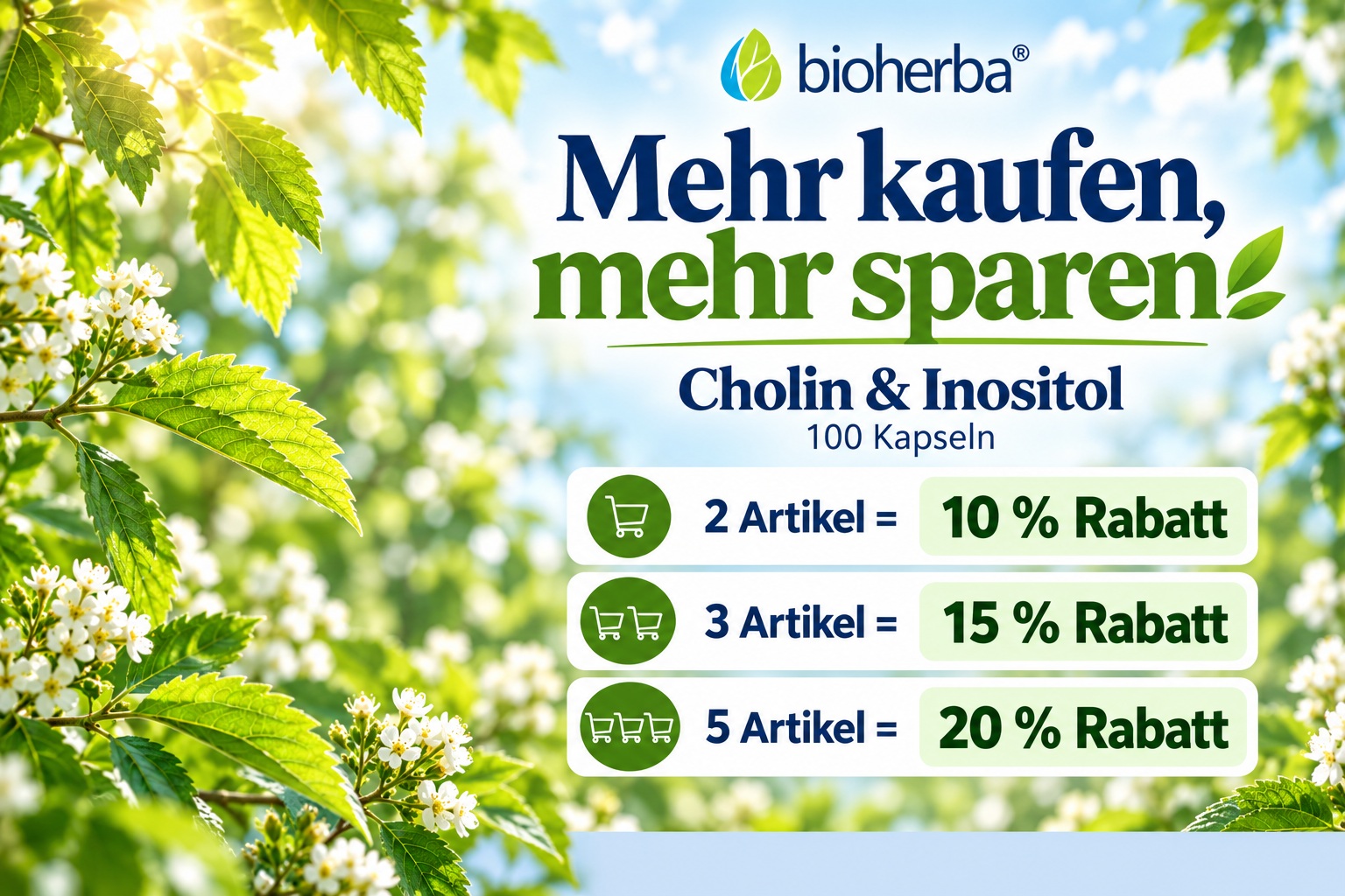 Werbebanner f&uuml;r Bioherba Cholin & Inositol mit gr&uuml;nem Naturhintergrund und der &Uuml;berschrift &bdquo;Mehr kaufen, mehr sparen&ldquo;, inklusive Mengenrabatten: 10 % ab 2 Artikeln, 15 % ab 3 Artikeln und 20 % ab 5 Artikeln.