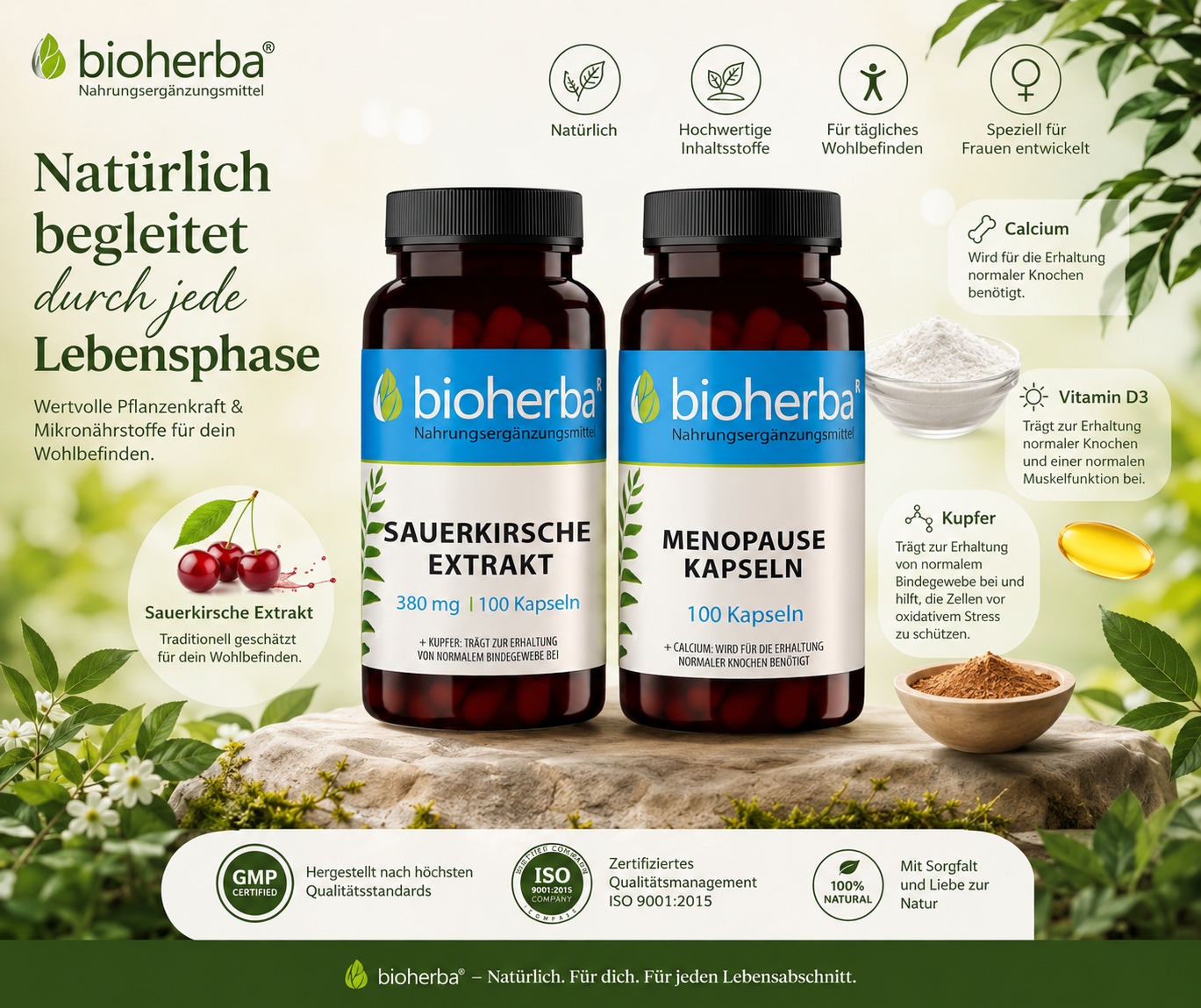 Bioherba Menopause Kapseln und Sauerkirsche Extrakt in einer nat&uuml;rlichen Premium-Kulisse mit Sauerkirschen, Calcium, Vitamin D3, Kupfer sowie GMP- und ISO-9001:2015-Hinweisen.