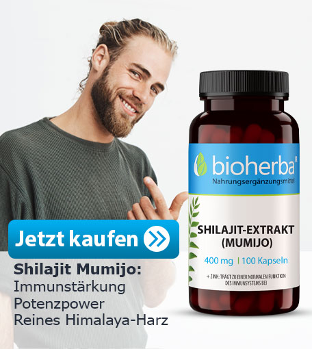 Shilajit Mumijo Kapseln kaufen