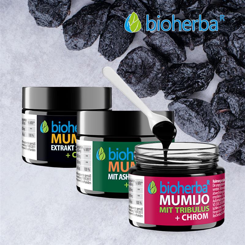 Mumijo Shilajit Himalaya