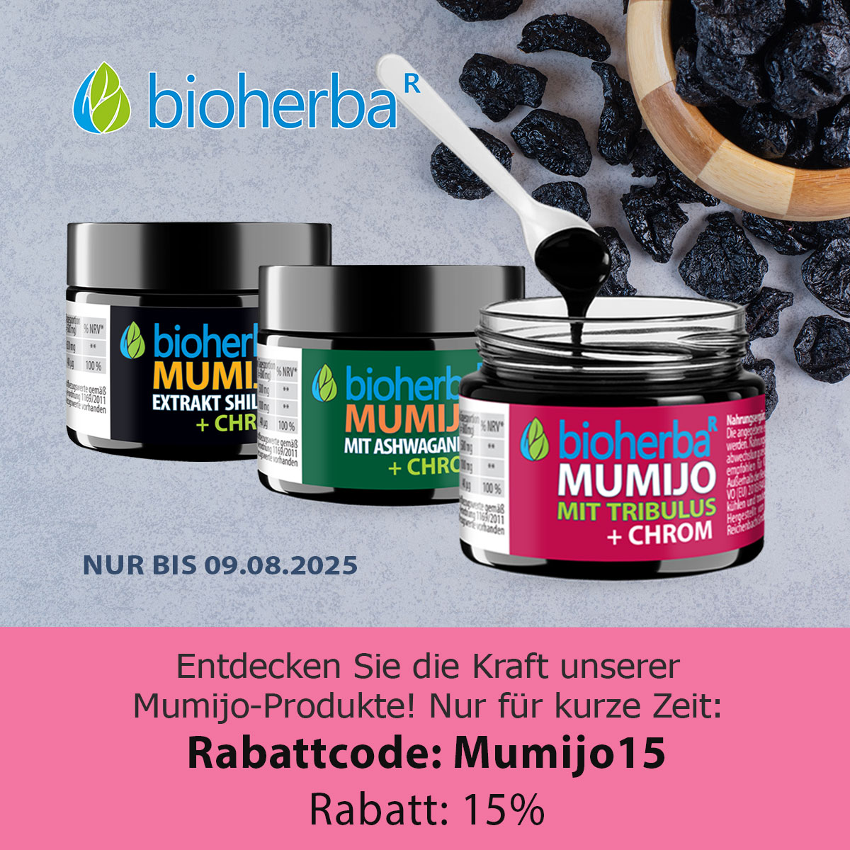 Mumijo Shilajit Himalaya