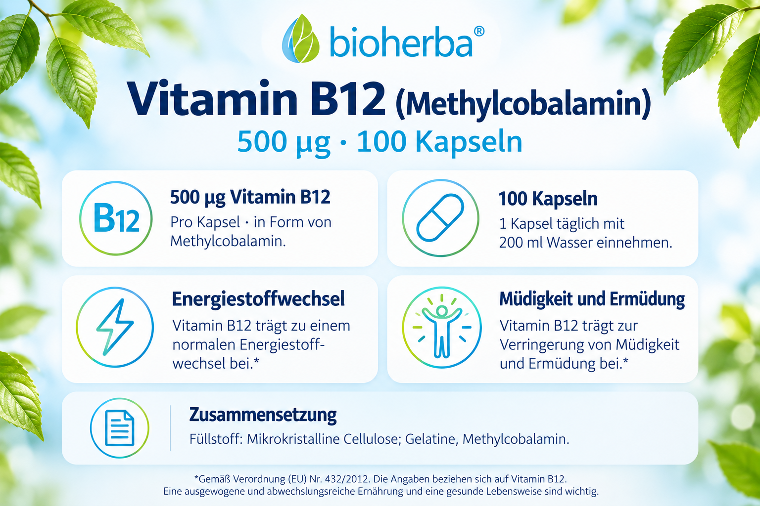 Infografik zu Bioherba Brennnessel Extrakt mit Eisen mit Produktvorteilen, Zusammensetzung und Informationen 