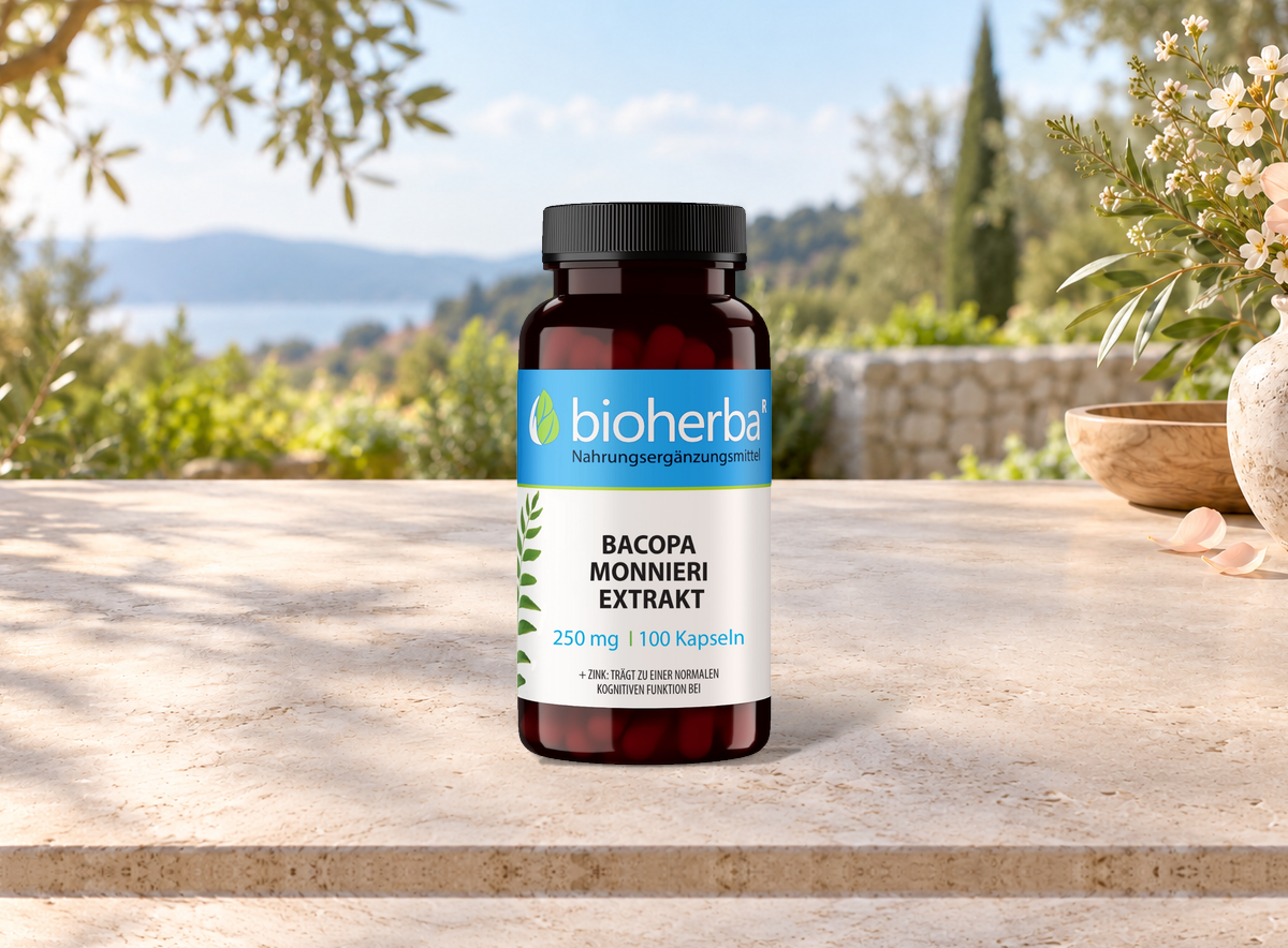Bacopa Monnieri Extrakt &ndash; Produktflasche in einer Szene ohne Menschen