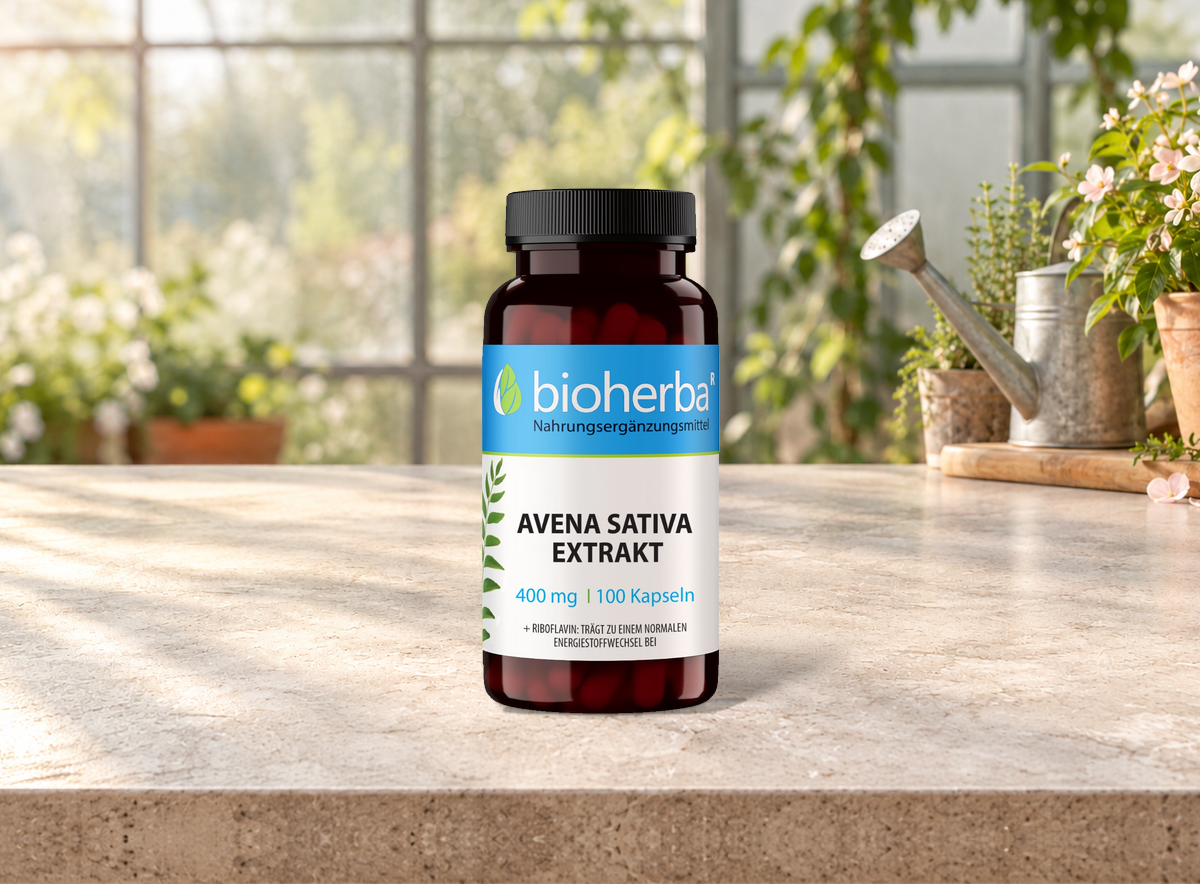 Avena Sativa Extrakt – Produktflasche in einer Szene ohne Menschen
